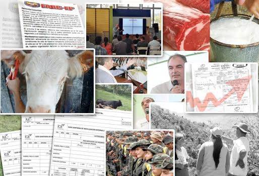 noticias ganadería colombia, noticias ganadería fedegán, noticias ganadería lafaurie, CONtexto ganadero