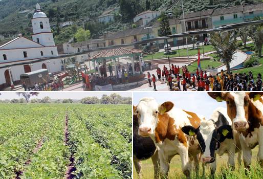 feria agropecuaria de Santo Domingo de Silos, exposición de animales, gran cabalgata, municipio Norte de Santander
