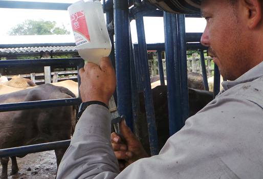 Alcaldía de Yopal entregó 32 paquetes tecnológicos