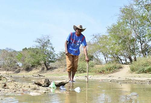 Ganadería, ganadería colombia, noticias ganaderas, noticias ganaderas colombia, CONtexto ganadero, coronavirus, COVID-19, crisis sanitaria, crisis coronavirus mundial, crisis cornavirus, salud pública, Ariguani, Magdalena, productores ariguaní magdalena, verano en ariguaní, verano en ariguaní magdalena, falta comida animales, falta comida animales ariguaní, pocas ayudas comida ariguaní, ganaderos ariguaní, intenso verano ariguaní, ganaderos, ganaderos colombia