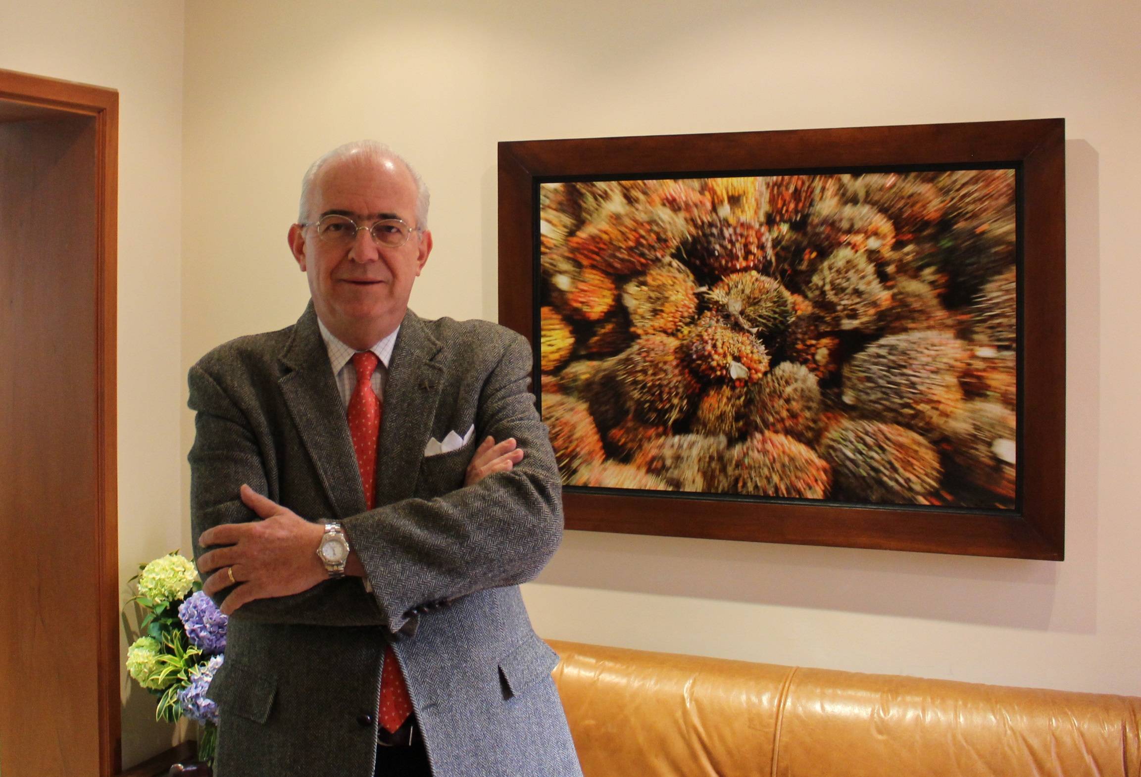Replantear financiamiento, Colombia no usa su potencial agropecuario, marchites letal en Llanos Orientales, hoja clorótica en Magdalena, Reglas claras, mezcla a la mitad, Buenas Prácticas Agrícolas, importadores, CONtexto Ganadero, noticias de ganadería colombiana.