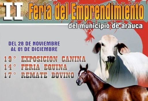 Cerca de 700 ganaderos participarán en la feria más importante del departamento. Foto: Alcaldía de Arauca. Feria de Arauca