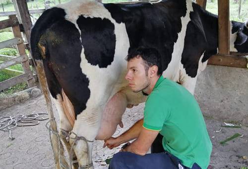 ganadería, ganadería colombia, noticias ganaderas, noticias ganaderas colombia, contexto ganadero, jose David arenas, asoagriganaderos, joven ganadero, ganaderos joven, falta de oportunidades en el campo, falta de inversión en el campo, buenas practicas ganaderas, buenas practicas agrícola 