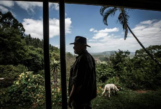 Sudáfrica, ataques raciales a granjeros en Sudáfrica, apartheid,  los legados del apartheid, los "asesinatos de agricultores", CONtexto ganadero, ganadería Colombia, Noticias ganaderas Colombia