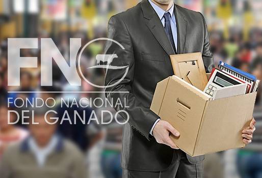 despidos del fng, despidos del fng liquidación