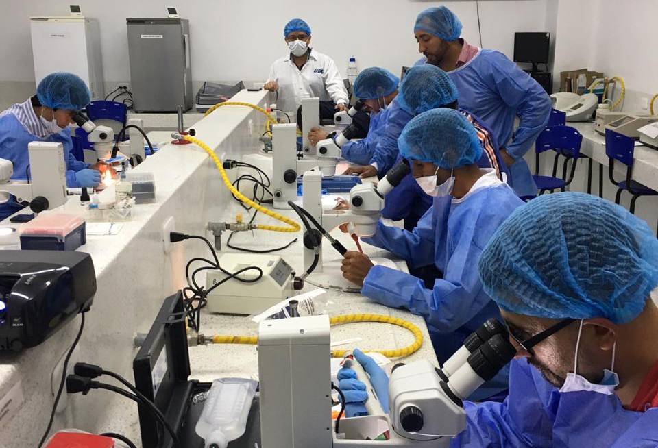 Ganadería, ganadería colombia, noticias ganaderas, noticias ganaderas colombia, CONtexto ganadero, trasnferencia de embriones, Genética, mejoramiento genético, UDES, Universidad de Santander, diego armando vega borda, transferencia de embriones y biotecnologías complementarias en bovinos