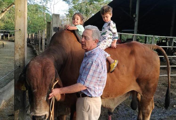 Ganadería, ganadería colombia, noticias ganaderas, noticias ganaderas colombia, CONtexto ganadero, Uribe, uribe preso, uribe corte suprema, delito uribe, por qué uribe va preso, noticias de álvaro uribe, Corte Suprema de Justicia, detención de uribe, arresto de álvaro uribe, centro democrático, lafaurie, Consejo Gremial, apoyo a uribe