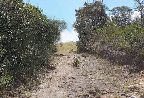 Ganadería, ganadería colombia, noticias ganaderas, noticias ganaderas colombia, CONtexto ganadero, mal estado de las vías, mal estado de las vías en guatavita, pérdidas por estado de las vías en guatavita, invierno 2021, lluvias 2021