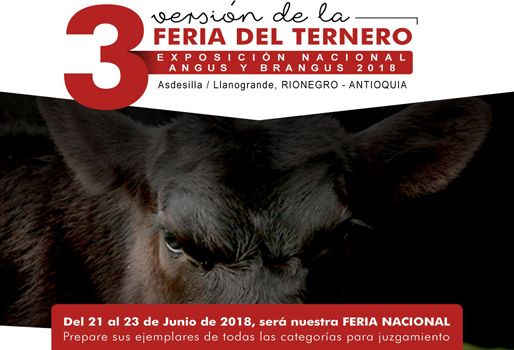 Este es uno de los eventos de la 9a Exposición Nacional Angus & Brangus, que tendrá lugar del 21 al 24 de junio. Foto: Asociación Angus & Brangus Feria Asociación Angus & Brangus 2018, Feria AsoAngusBrangus 2018, Comprar Brangus en Colombia, evento Brangus 2018, día de campo Angus, día de campo brangus, noticias Angus Colombia, noticias Brangus Colombia, información Brangus Colombia, Asociación Angus & Brangus, CONtexto ganadero, ganaderos colombia, noticias ganaderas colombia