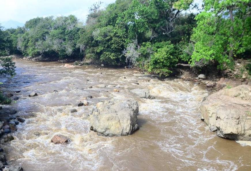 Ganadería, ganadería colombia, noticias ganaderas, noticias ganaderas colombia, CONtexto ganadero, ETA, huracán eta en colombia, efectos huracán eta en colombia, Lluvias, lluvias cesar, alerta amarilla cesar, Gobernación del Cesar