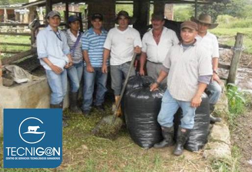 Ganadería, ganadería colombia, noticias ganaderas, noticias ganaderas colombia, CONtexto ganadero, Ganaderos de Santander, ganaderos Norte de Santander, PIRPAG, Tecnigán, talleres tecnigán, talleres tecnigán santanderes, Bienestar Animal, importancia bienestar animal, Sistemas silvopastoriles, Asistencia técnica