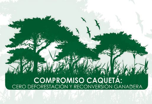 Mayor información: Teléfono: (8) 435 21 70 – Ext: 116. Celular: 310 786 66 25 asamblea caquetá