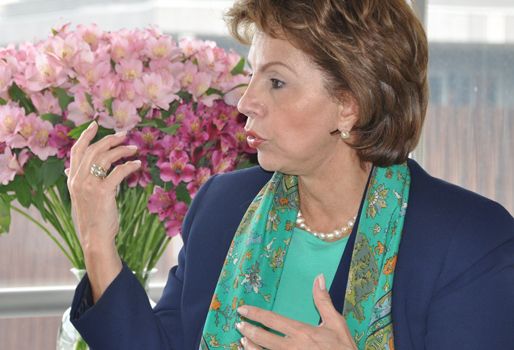 María Mercedes Gómez, Bancamía