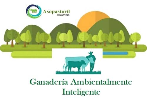 Encuesta Nacional Ganadería Ambientalmente Inteligente Fincas con Sistemas Silvopastoriles en Colombia, Observatorio Ganadería Sostenible, ganadería colombiana sostenible fedegán, asociación sistemas silvopastoriles Colombia, sistemas silvopastoriles ganadería Colombia, Asopastoril Colombia, coronavirus, coronavirus Colombia, COVID-19, cuarentena, Ganadería, ganadería colombia, noticias ganaderas, noticias ganaderas colombia, CONtexto ganadero