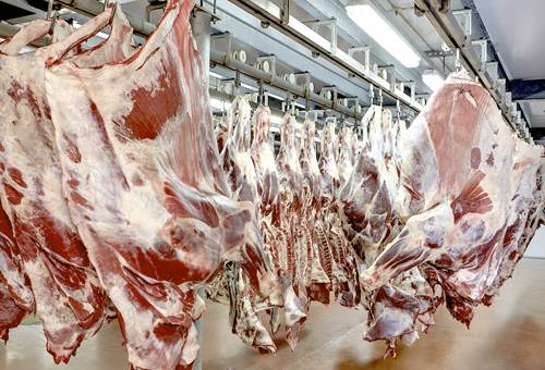 carne paraguay, exportaciones carne paraguay, exportaciones carne bovina Paraguay 2021, exportaciones carne Paraguay 2020, exportaciones carne Paraguay 2021, exportaciones carne bovina, exportaciones carne Latinoamérica, carne bovina paraguay, ganaderos, ganaderos colombia, ganado, bovinos, ganado bovino, Ganadería, ganadería colombia, noticias ganaderas, noticias ganaderas colombia, CONtexto ganadero, contextoganadero