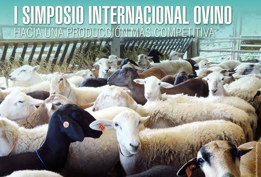 I Seminario Internacional Ovino