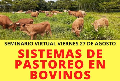 Aprenda Sobre Distintos Sistemas De Pastoreo Para Bovinos En Este ...