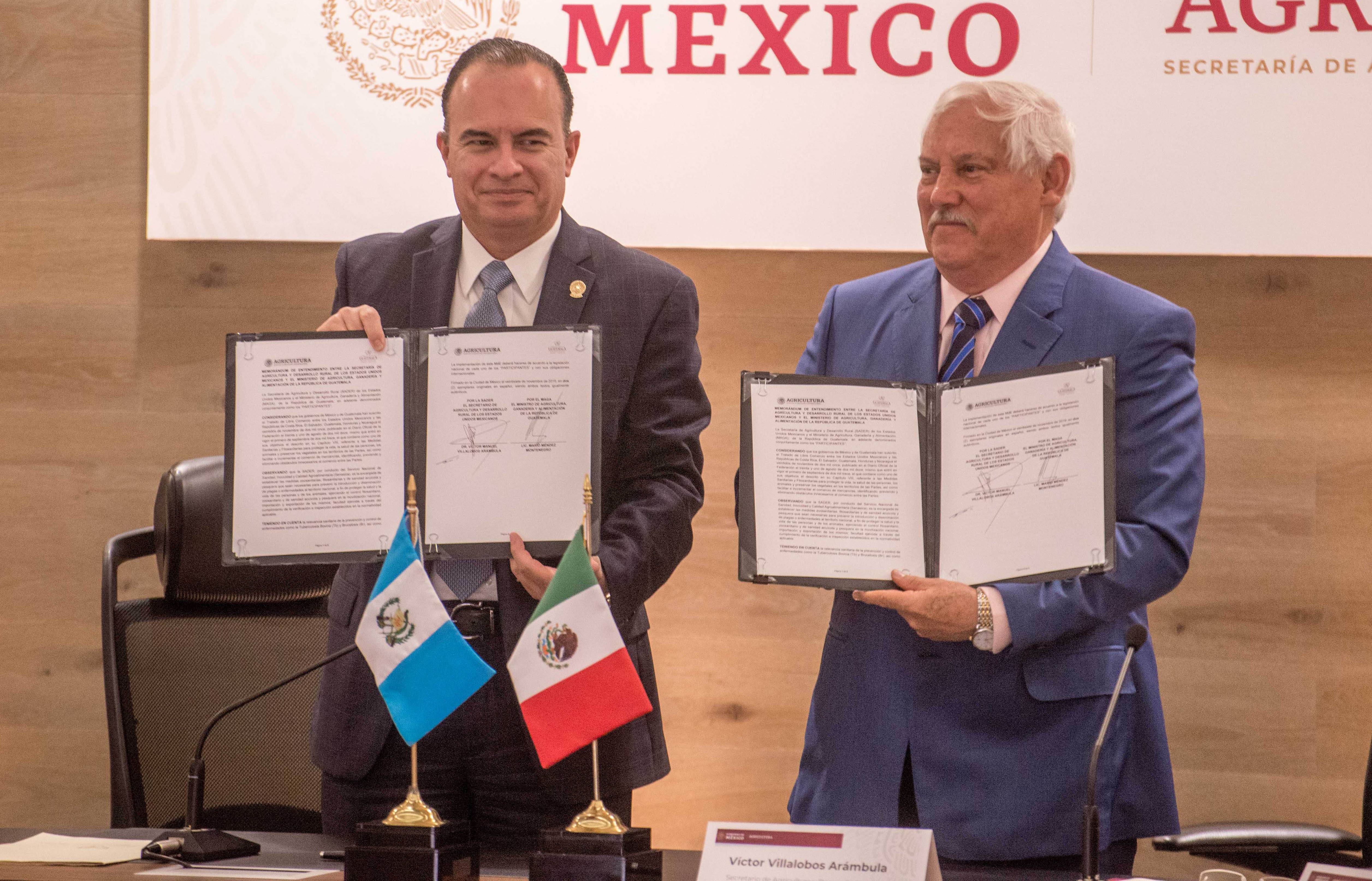 México, país libre de las enfermedades más importantes de bovinos