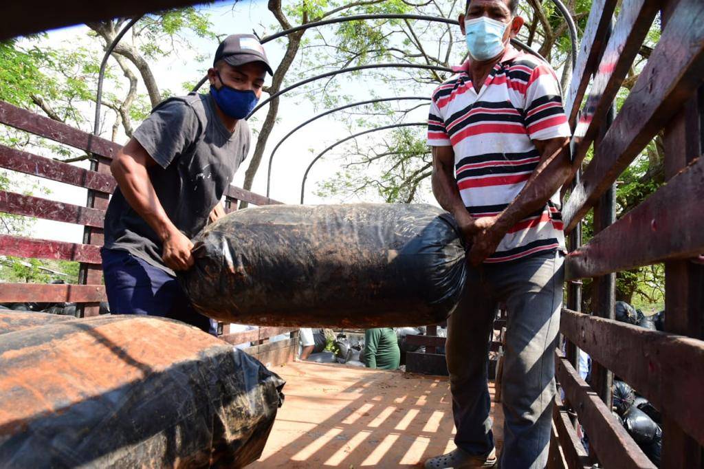 Ganadería, ganadería colombia, noticias ganaderas, noticias ganaderas colombia, CONtexto ganadero, Silo, silo atlántico, centro de silo atlántico, silo para ganaderos del atlántico, forraje ganaderos del atlántico,