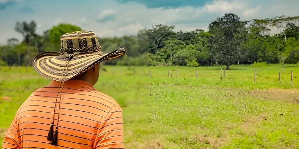 Agencia Nacional de Tierras