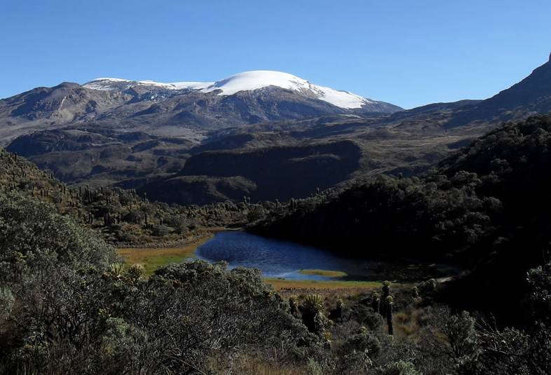 ganadería, ganadería colombia, noticias ganaderas, noticias ganaderas colombia, contexto ganadero, Geoparque Volcánico del Ruíz, Parque Nacional Natural de Los Nevados, patrimonio de la humanidad por la Unesco, Caldas, Risaralda, Tolima y Quindío, Juan David Pachón Morales, secretario de Turismo, Industria y Comercio del Quindío, Región Administrativa de Planificación, RAP, Juan Pablo Arbeláez, gerente del proyecto Geoparque Volcánico del Ruíz, Unesco, 140 geoparques, los cuales están distribuidos en 38 paí
