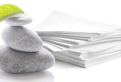 Ganadería, ganadería colombia, Ganadería colombiana, CONtexto ganadero, noticias ganaderas, noticias ganaderas colombia, terraskin, papel de piedra, precio papel de piedra, sustituto de papel, papel biodegradable, papel ecologico, ganaderos, ganaderos colombia