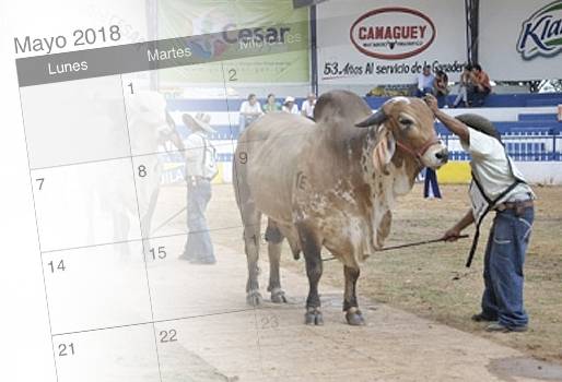 Eventos ganaderos mayo 2018, cursos ganaderos, eventos ganaderos de 2018, ferias ganaderas de 2018, 3ra feria agroindustrial Eje cafetero, 2018, Ferias ganaderas Colombia mayo 2018, ferias ganaderas Colombia 2018, ferias ganaderas mayo 2018, ferias, Ferias Ganaderas, ferias Colombia, Eventos ganaderos, eventos ganaderos colombia, CONtexto ganadero, ganaderos Colombia, ganaderia Colombia, noticias ganaderas Colombia