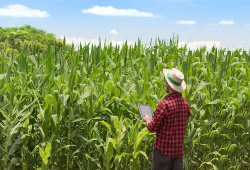 Ganadería, ganadería colombia, noticias ganaderas, noticias ganaderas colombia, CONtexto ganadero, méxico, méxico investigación agropecuaria, investigación agropecuaria en méxico, investigación aplicada al campo, Centro Internacional de Mejoramiento de maíz y Trigo, Cimmyt, cimmyt méxico