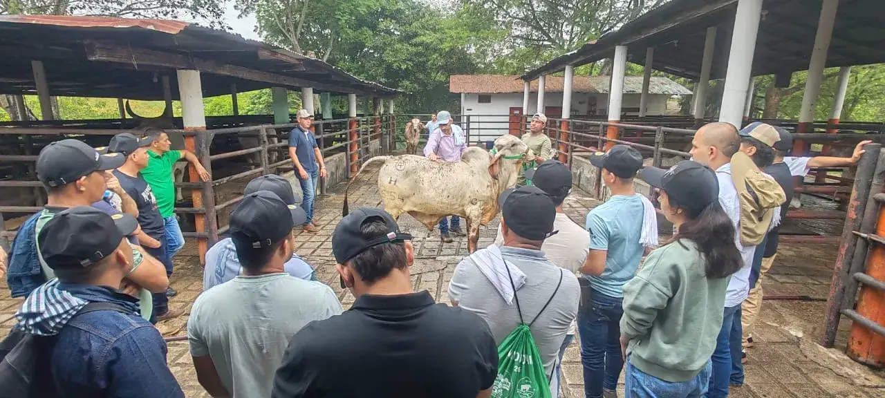 Escuelas de mayordomía