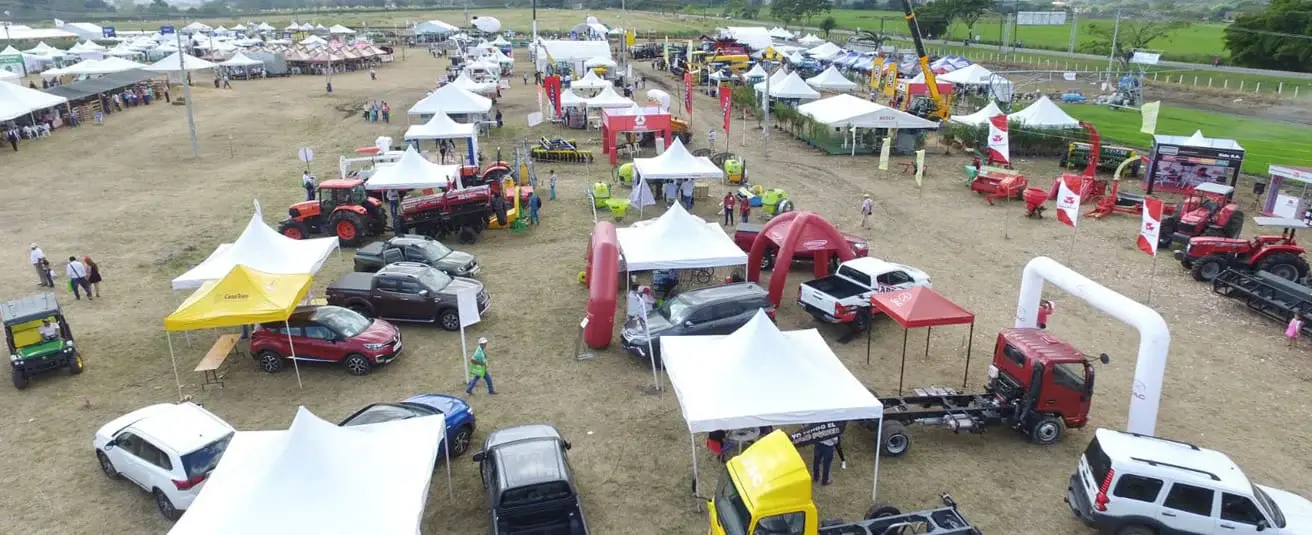 feria-pajonales