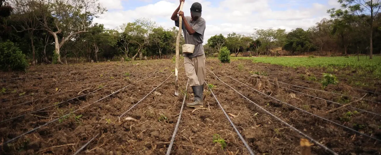 info-agroclimatica-objetivos-campo