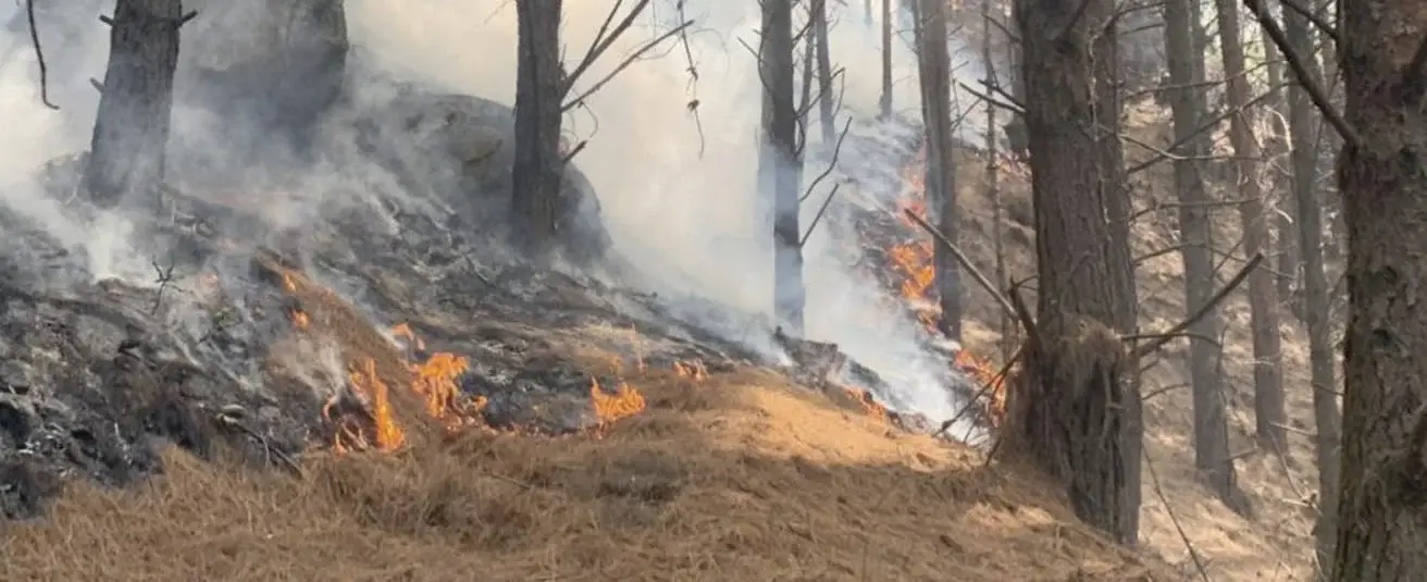 incendios-forestales