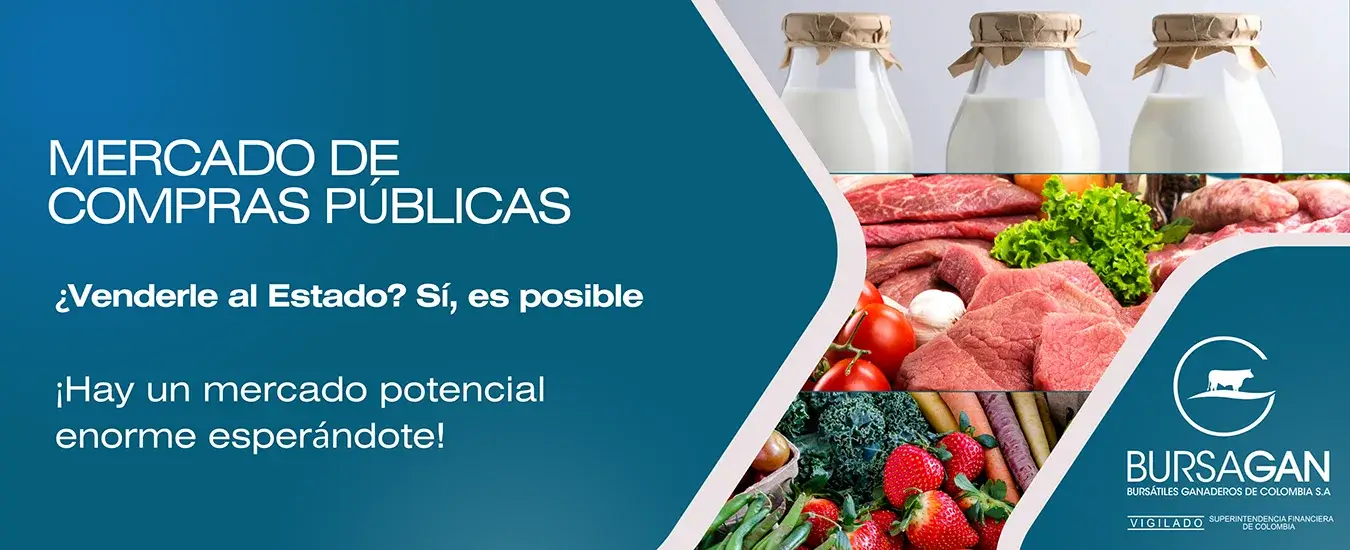 Mercado de compras públicas de Bursagan