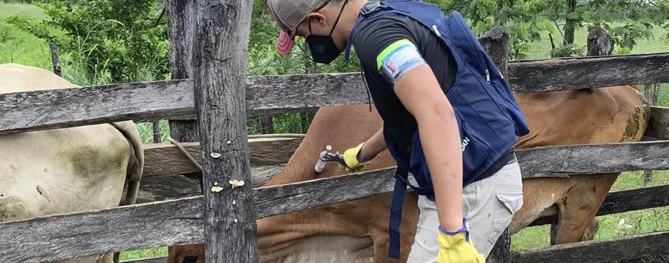 Boletín Ciclo de vacunación