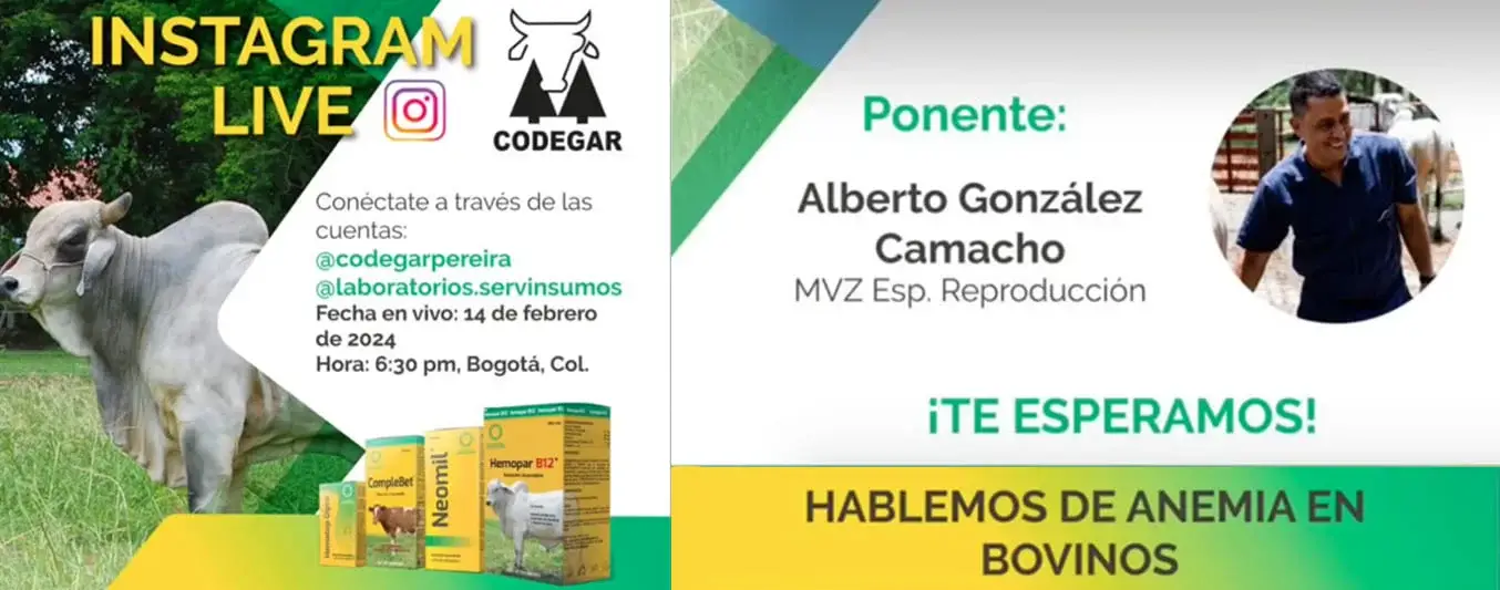 Live-Codegar-Anemia-bovinos