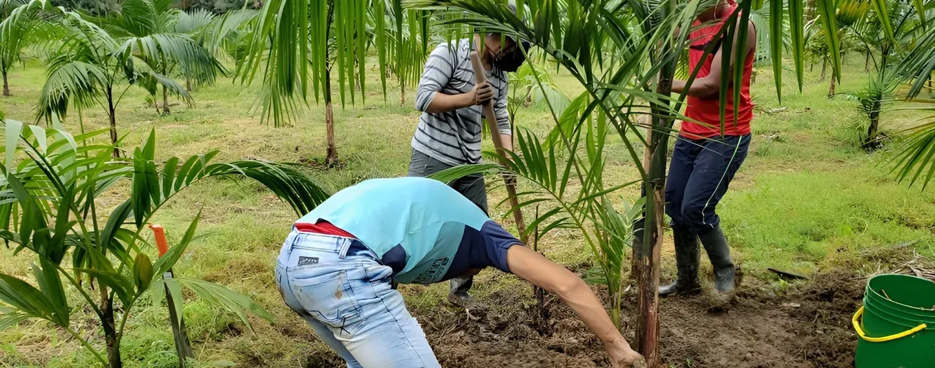 fortalecer la extensión agropecuaria