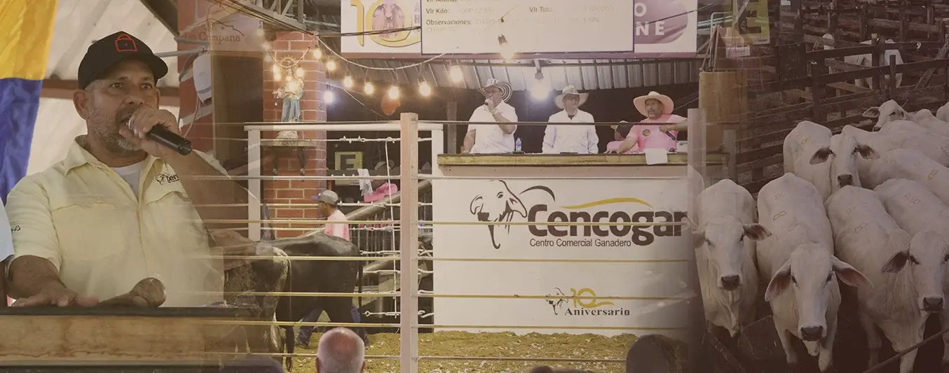 Cencogan
