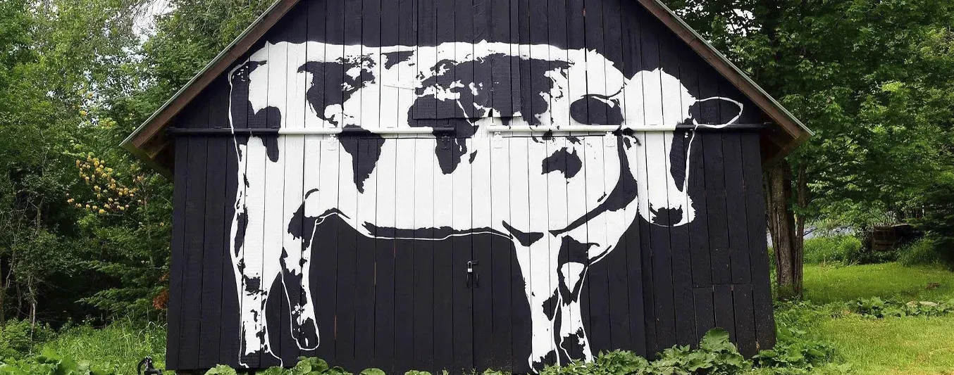 Bj Barry, el artista que pinta vacas alrededor del mundo con un propósito únic