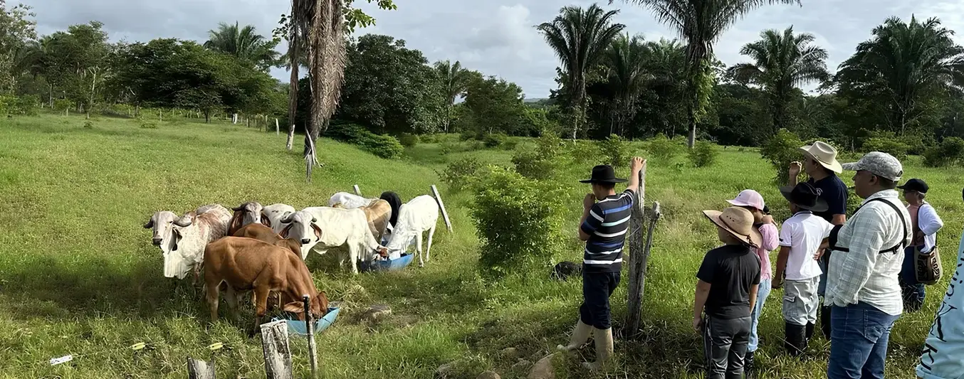 Círculo de Gestión de Ganadería Sostenible del Casanare
