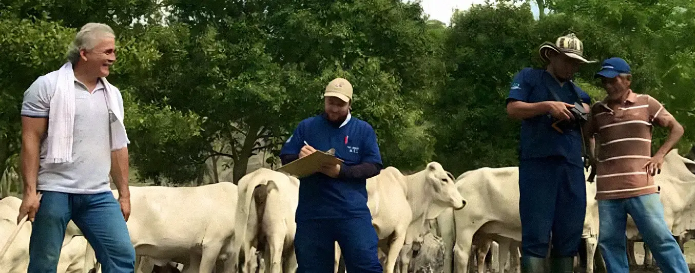 Administrador de fincas
