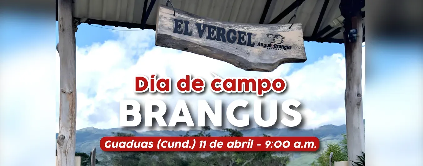 Día de Campo Brangus