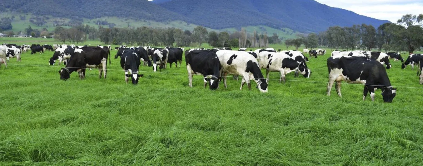 Planificación de pastoreo