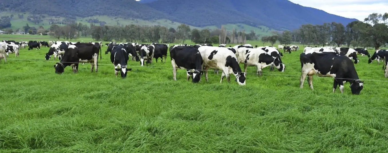 Planificación de pastoreo