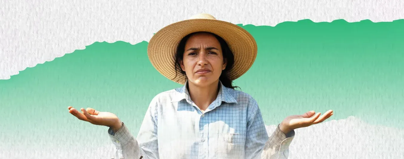 Qué pasa después de postular el predio en la ANT