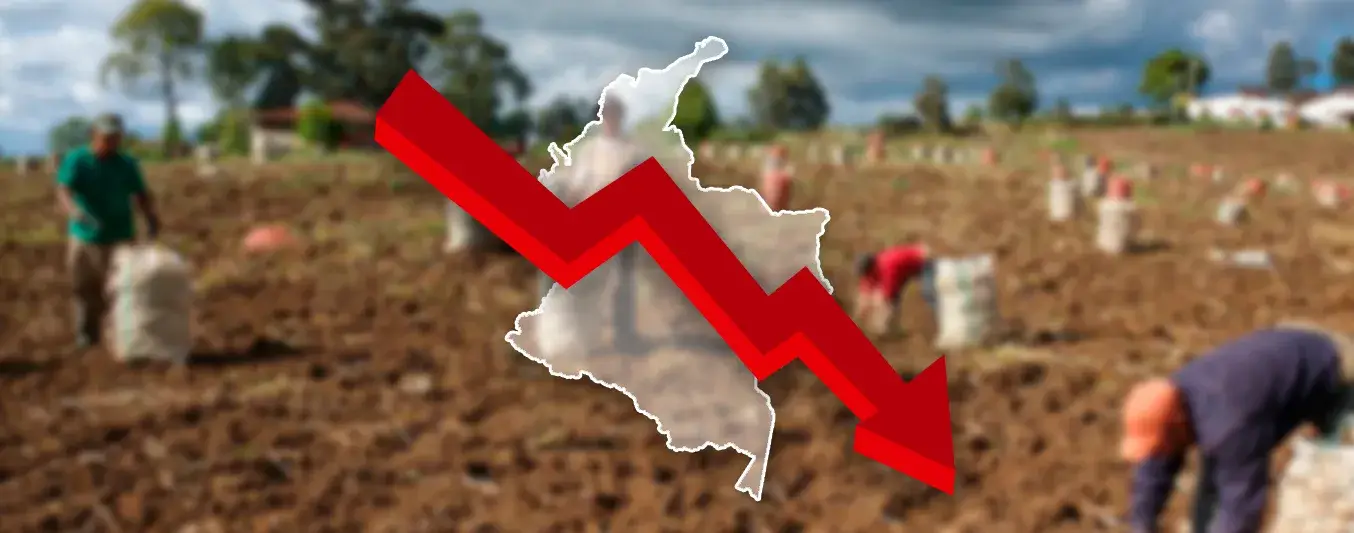Sector agropecuario en Colombia enfrenta caída productiva