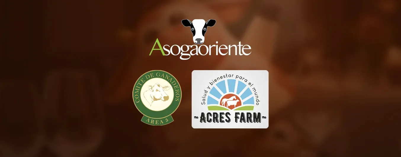 Aliados Vaca por la Paz