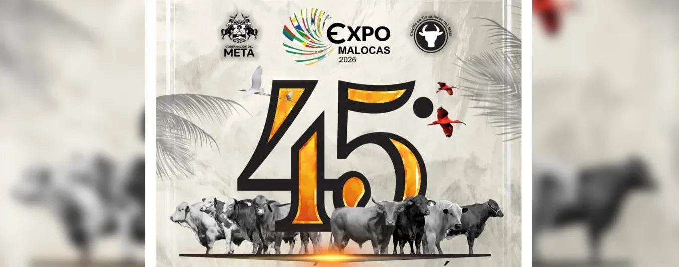 Expomalocas registra récord de participación con 1.500 bovinos