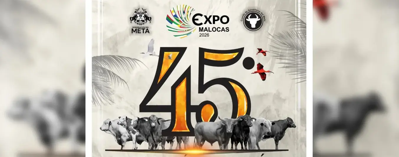 Expomalocas registra récord de participación con 1.500 bovinos