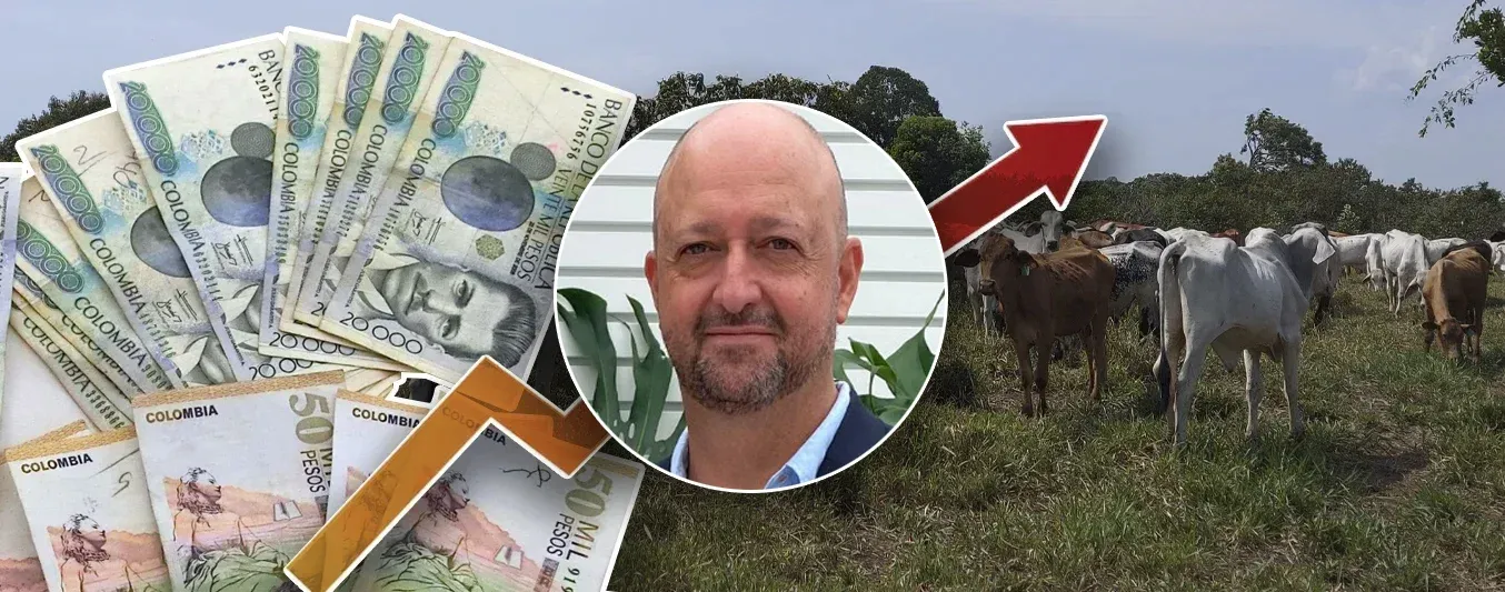 Aprenda sobre finanzas ganaderas en esta charla virtual