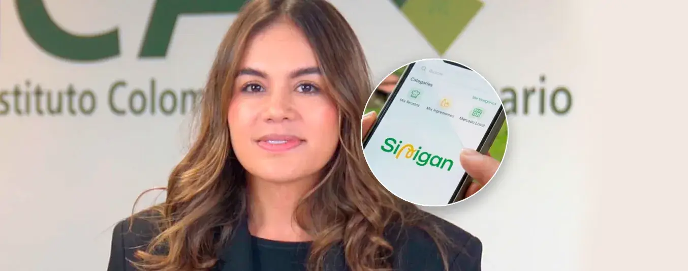 Gerente del ICA sobre Sinigan V6